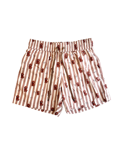 SCOTT UOMO SHORT