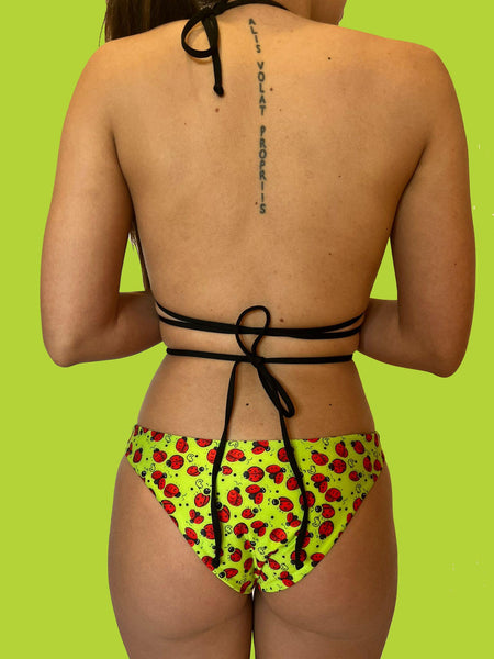 LADYBUGS triangle